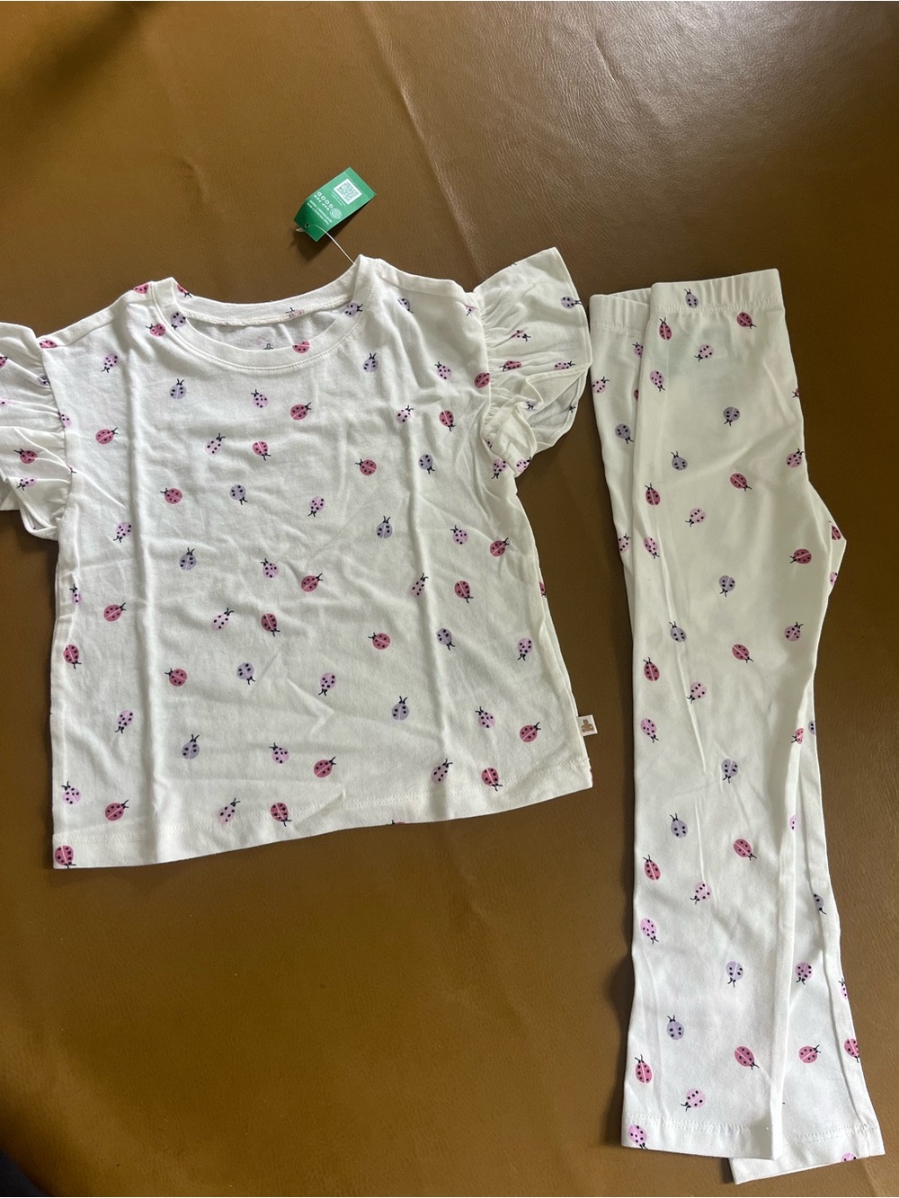 Pair of Baby Gap Girls Ladybug and Floral Matching Shirt & Leggings Set